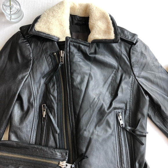 Joie Leather & Shearling Jacket (Ailey e) - Picture 5 of 14